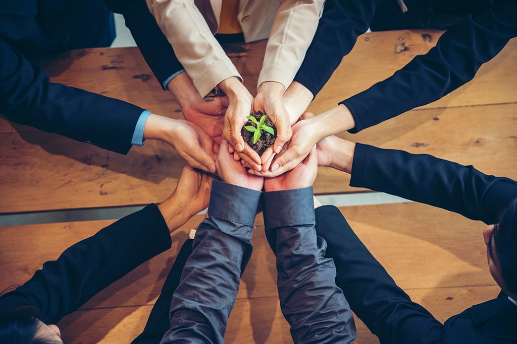A group of people in business attire holding a small plant together, symbolizing growth, teamwork, and sustainability.